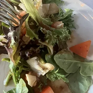 Balsamic vinaigrette salad