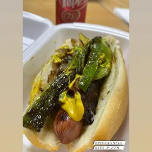 L.A. style street dog