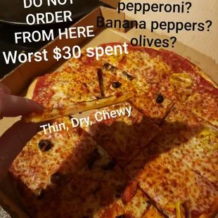 Terrible excuse for Pizza