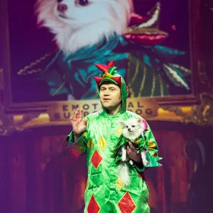 Piff and Mr Piffles - No prizes for guessing who the real star is