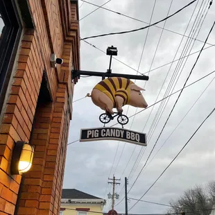 a pig on a bicycle