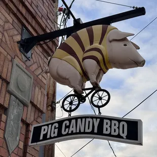 a pig on a bicycle