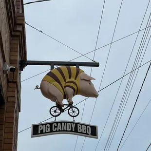 a pig on a bicycle