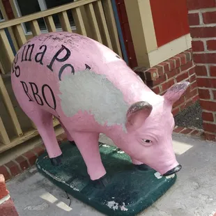 Cute pig!