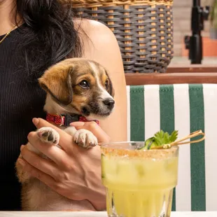 Clasico (Classic) Margarita on our Dog Friendly Patio