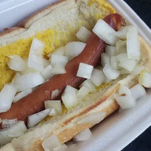 shows a hot dog with onions and mustard