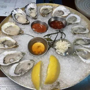 Shucker 's Dozen Oysters