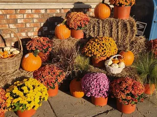 Miller's General Store