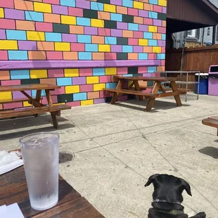 First time out in months. Feels strange!