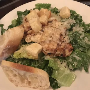 Chicken Caesar Salad