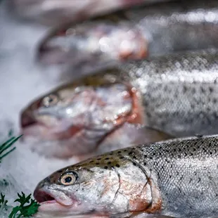 Pike Place Fish Market