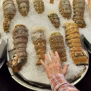 Lobster tails