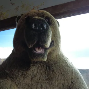 Beware of bears