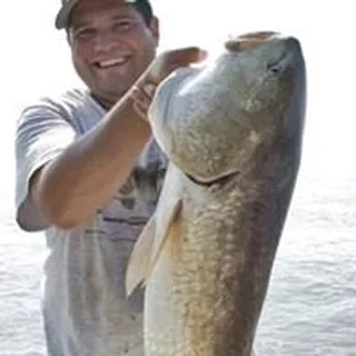 Steve R.