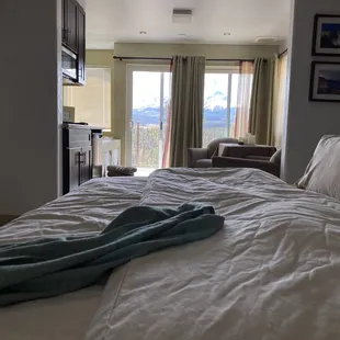 forest suite - mountain view 2022