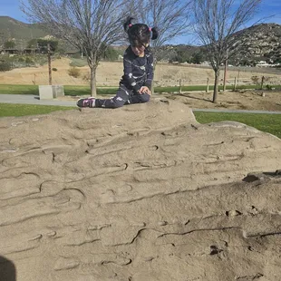 Made it to the top !