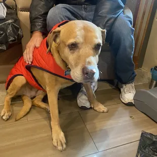 Shelley says &quot;thank you to everyone who looked for me!