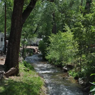 Great Creek side sites