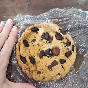 Giant FRESH chocolate chip cookies