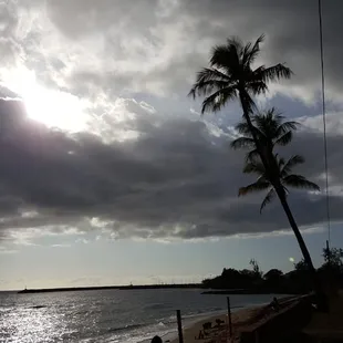 Looking west