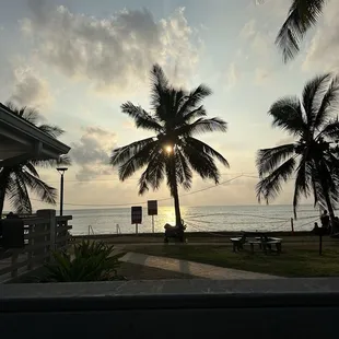 First day front view