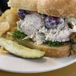 Tuna Salad Sandwiches