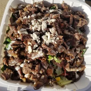 Shawarma pilot salad