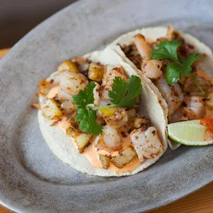 Shrimp Tacos | chorizo, chipotle aioli, cibollitas