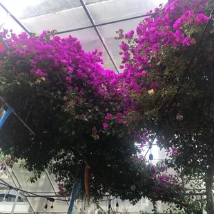 Patio!!!!