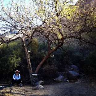 Beautiful resting spot.