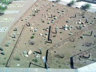 Pima County Government