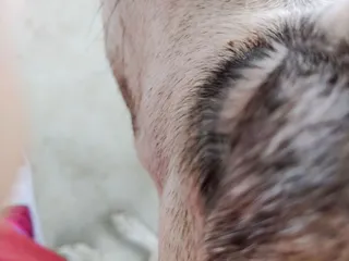 Desert Sky Spine & Pain