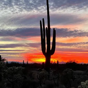 Sunset Tucson AZ