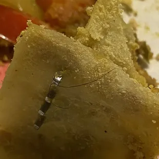 Shrimp roti but with hair in it