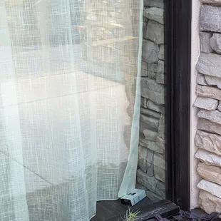 Bug trap in the window