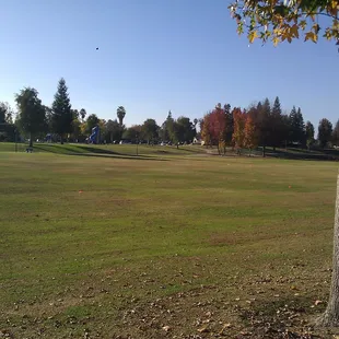 Grassy area for playing games