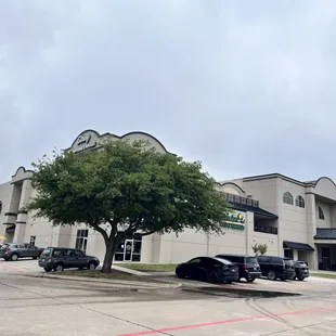 Located in the corner of