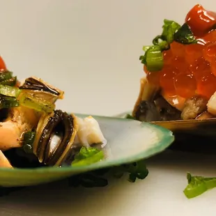 Mussel shooter