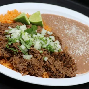 Birria Plate