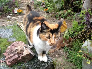 Old River Road Antiques