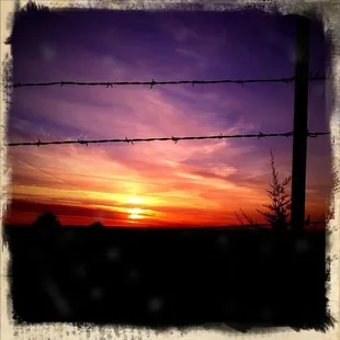 Surise