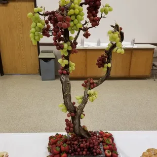 Grape Tree