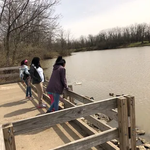 Girls enjoying the ducks!