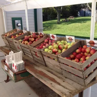 The bag your own area runs September thru October