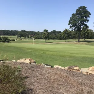 Course view