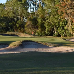 a green and sand bunkers