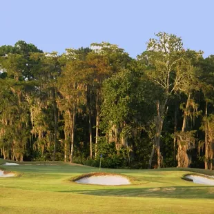 The course &amp; greens are in great shape!