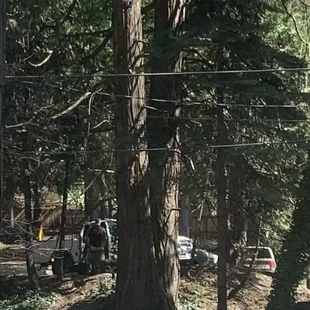 Parking lot, patio, a crime.