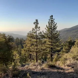 Trails lead to great views.