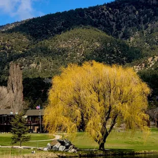 Our piece of paradise